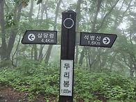 7월 14일 석병산