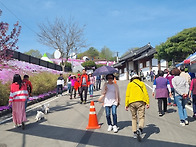 2024.4.14. 꽃 잔디 여행..