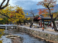 2024.11.09 . 양산 통도..