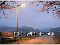 흥꽃 - 강물은 말이 없네