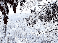 12월의 기도 안에..