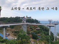소리꽃 - 부르지 못한 그 이름