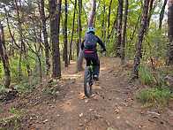 10월30일 우면산-청계산