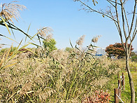 11월4일 허밍코스