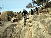 오래된 그림책....