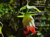 2025년 11월의 전례력이 ..