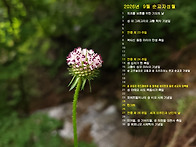 2026년 9월의 전례력이 들..