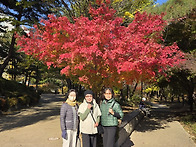 먹자벙개 후의 남산 산책길