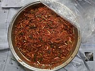 김장 후기.