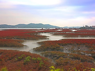 황산도