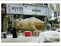 속초와 곰배령에서