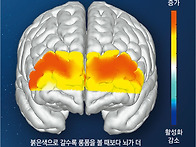 숏폼에 중독된 사회