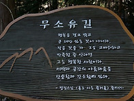 코로나 시대, 산사에서 찾은 천년의 숨결