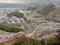 3/13(토)~3/14(일) 광양 백운산&쫓비산&매..