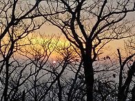 3/13(토)~3/14(일) 광양 백운산&쫓비산&매..