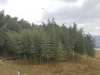 1월 정여 사진 몇..