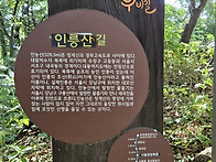 넝쿨산악회 경기 ..