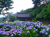 7월 3일 구름처럼 피어나는..