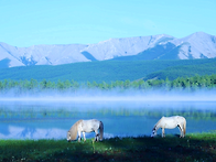 7월 1-6일 무심재 몽골여행..