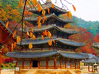 11월 5일 속리산 세조길과..