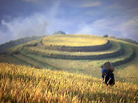 제10회 대한민국사진축전에..