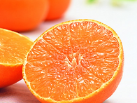 [100박스한정] 15브릭스 ..