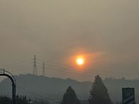 일상입니다.