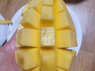 오늘 망고먹었어요~