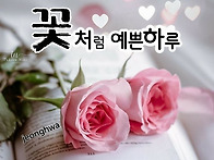 분홍장미 인사말 외 / 행..