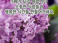예쁜그림 5월 라일락꽃 인..