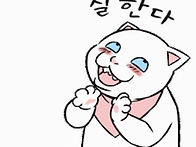 2025 5/17(토)~5/18(..