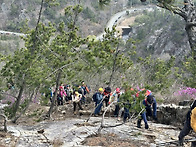 덕룡산사진 올립니다^^