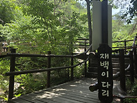 2025 7/6(일) 변산 내변산..