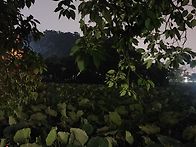 이정도면 오지로 쳐주나요..