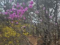 많이 못 벌어도 출근들 합..