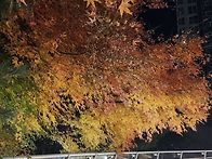 추운데 바람까지 부니까