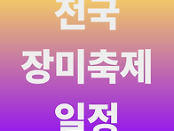 전국 장미축제 한창이네요..