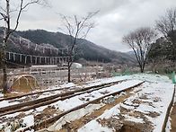 12월에 냉이캐면서 캠핑