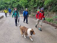 893차 - 정선 덕산기계곡