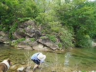 덕산기-정선2