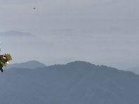 미륵산
