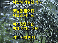 추억의 거리