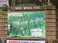 5월6일 달마산