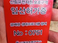 곰배령과 자작나무숲 2박3..