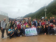 10월 영양 자작숲..