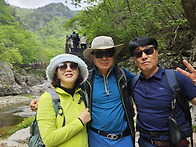 5월 주왕산 절골 ..