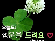 25년 5월 26일. ( 월요일..