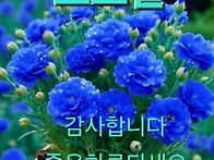 26년 10월 17일. 토요일 ..