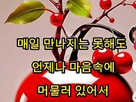 24년 11월 5일. (화).출..