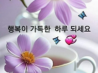 25년 5월 24일. ( 토요일..